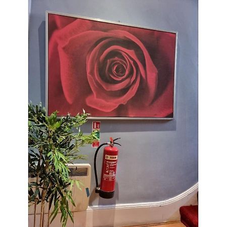 F301-Awesome 3Rd Flr Studio Fits 1 Near Hyde Park Londra Dış mekan fotoğraf