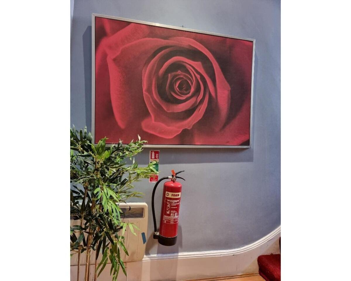 F301-Awesome 3Rd Flr Studio Fits 1 Near Hyde Park Londra Dış mekan fotoğraf
